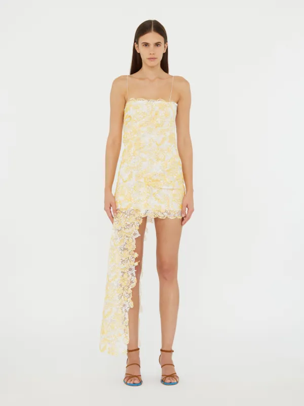 Floating Lace Cami Mini Dress sold by Christopher Esber