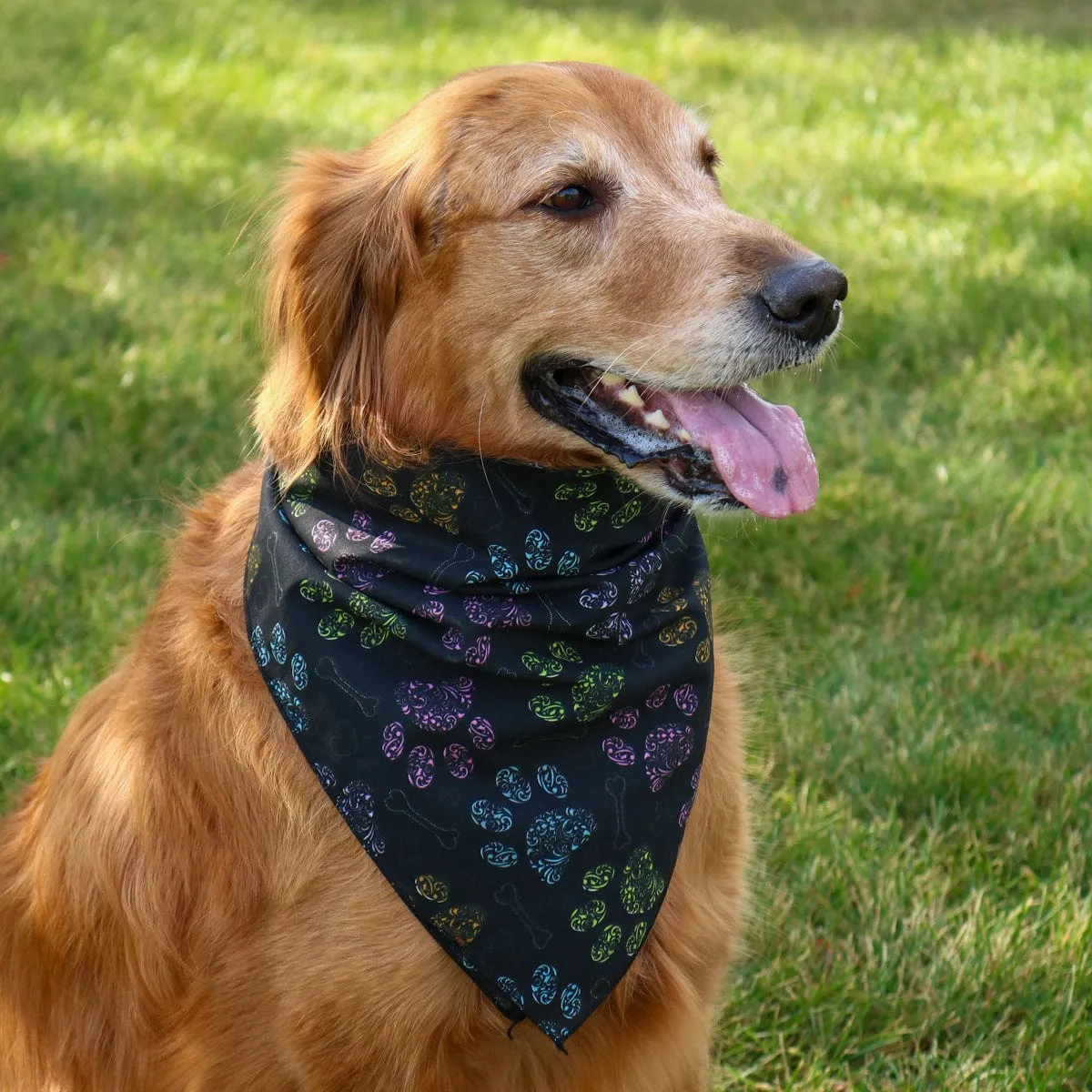 CTM® Colorful Dog Paw Print Bandana sold by Belt Outlet product image thumbnail 4