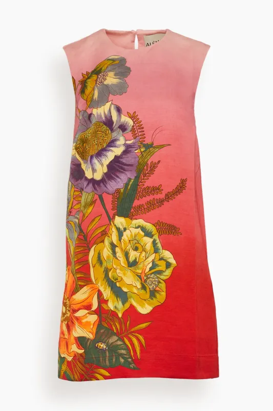 Inez Mini Dress in Pink Ombre sold by Hampden Clothing