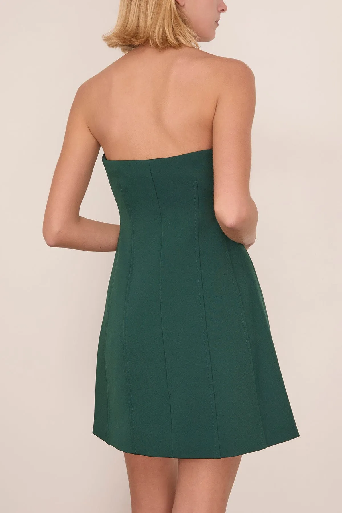 Devin Bustier Mini Dress in Emerald sold by Hampden Clothing product image thumbnail 4