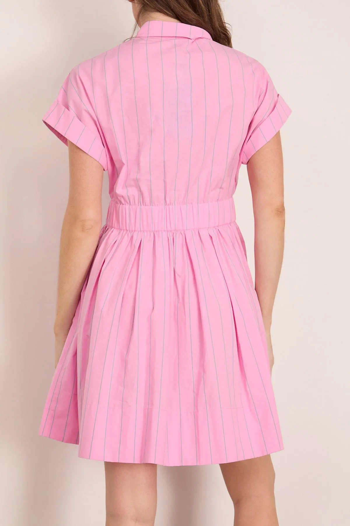 Howard Dress in Watermelon Stripe sold by Hampden Clothing product image thumbnail 4