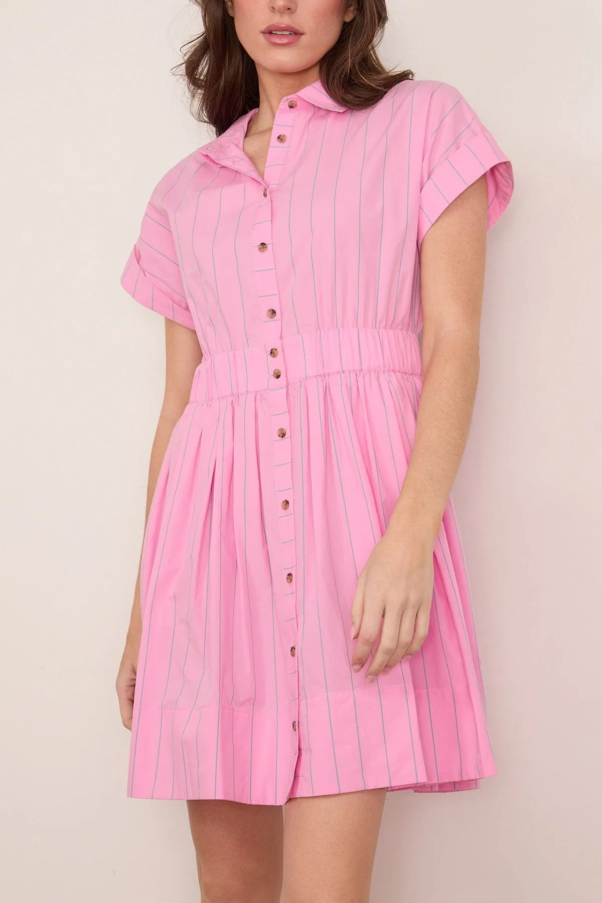 Howard Dress in Watermelon Stripe sold by Hampden Clothing product image thumbnail 3
