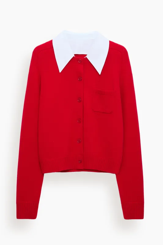 Elegant Statements Cardigan in Lollipop made by Dorothee Schumacher