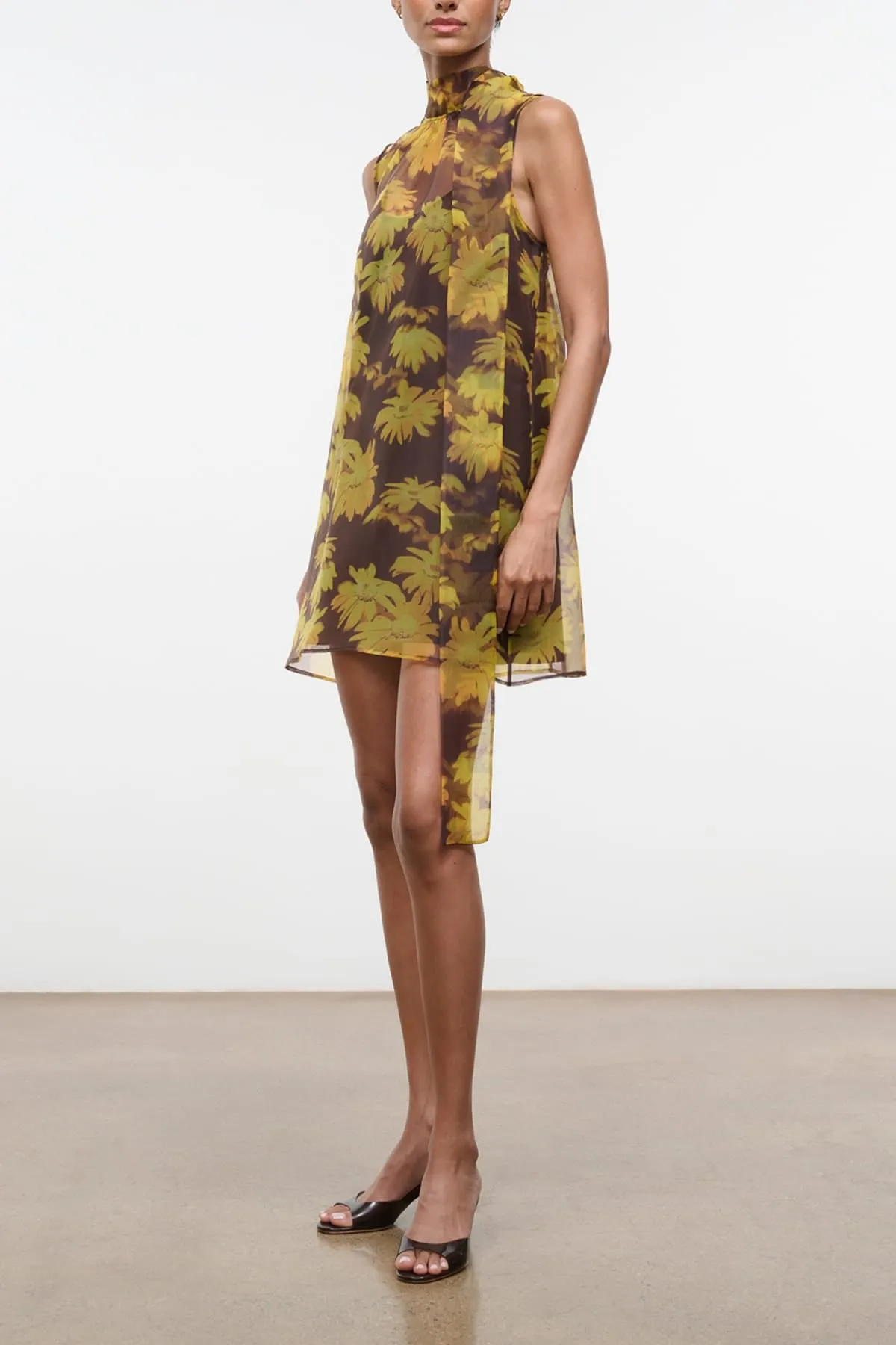 Albee Mini Dress in Golden Daisy sold by Hampden Clothing product image thumbnail 3