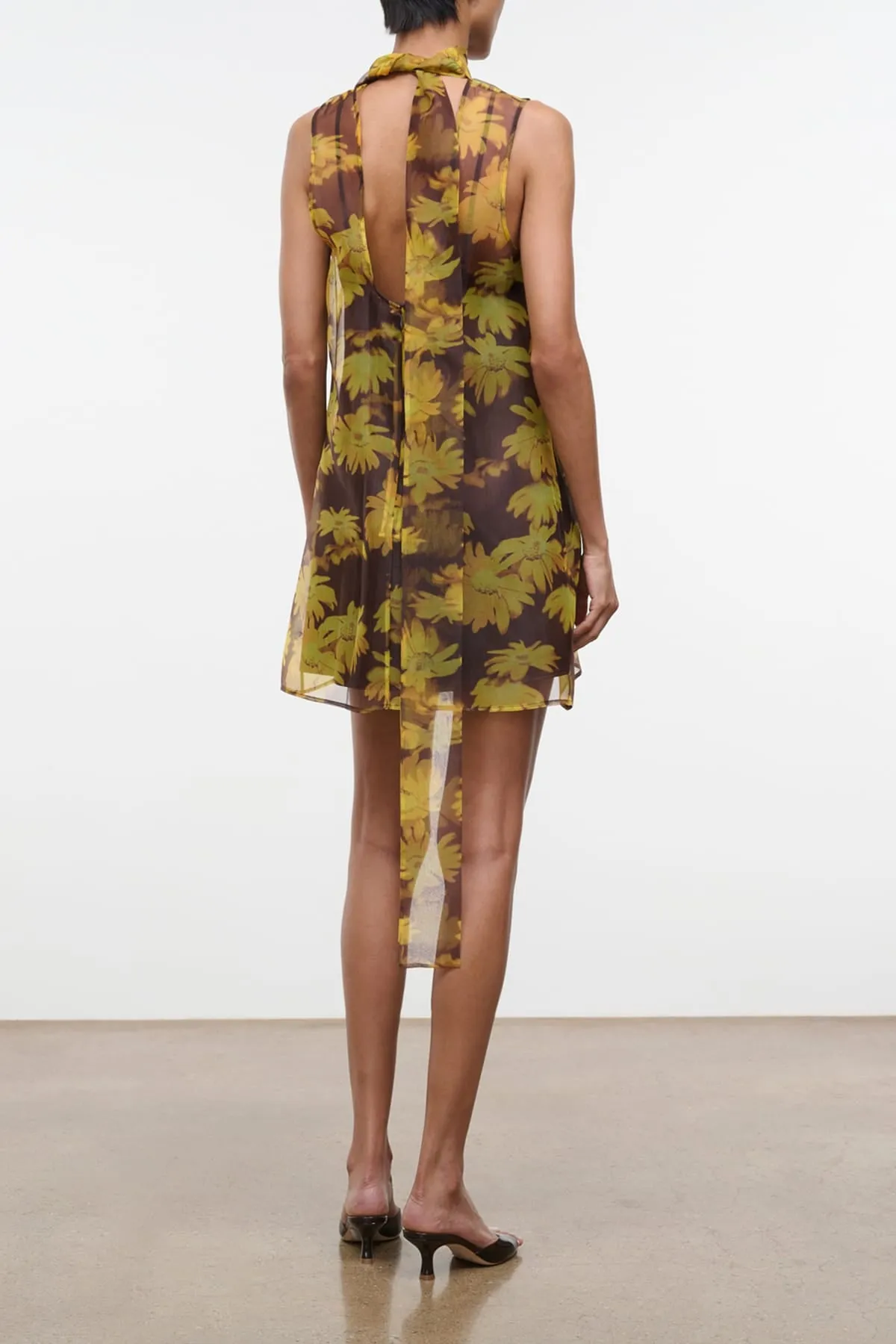Albee Mini Dress in Golden Daisy sold by Hampden Clothing product image thumbnail 4