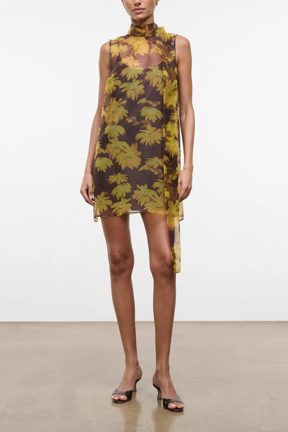 Albee Mini Dress in Golden Daisy sold by Hampden Clothing product image thumbnail 2