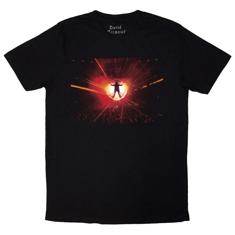 David Gilmour Luck & Strange Stage Shot T Shirt sold by Paradiso Clothing