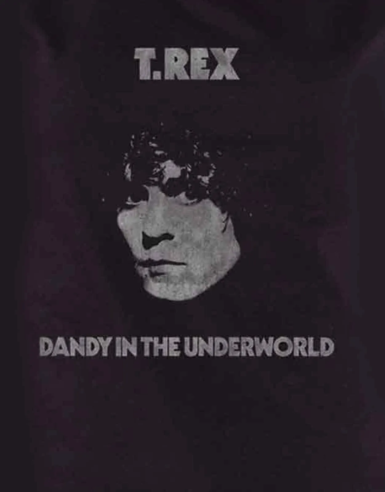 T Rex Dandy Logo Skinny Fit T Shirt sold by Paradiso Clothing product image thumbnail 2
