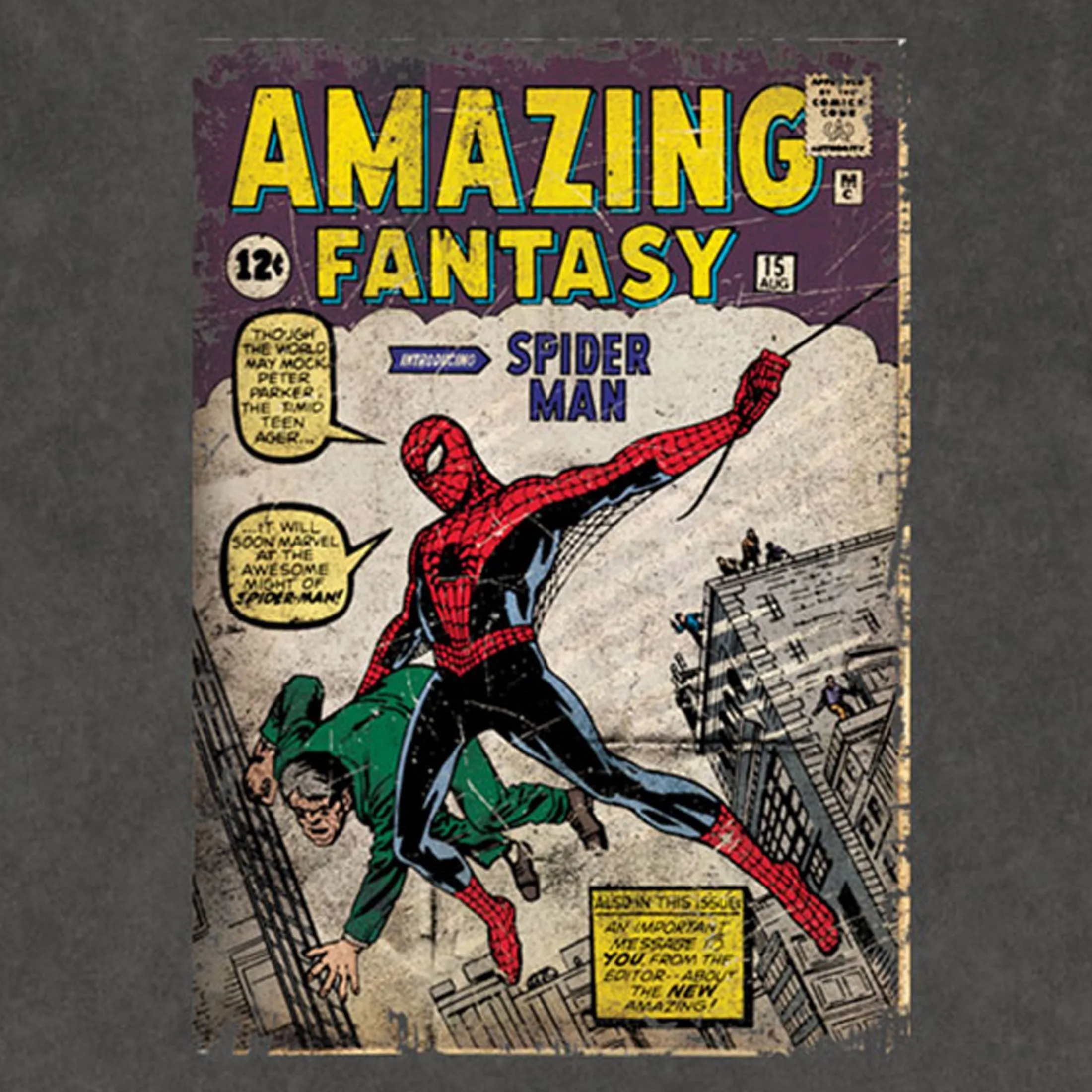 Spider-Man Amazing Fantasy Limited Premium Wash T Shirt sold by Paradiso Clothing product image thumbnail 2