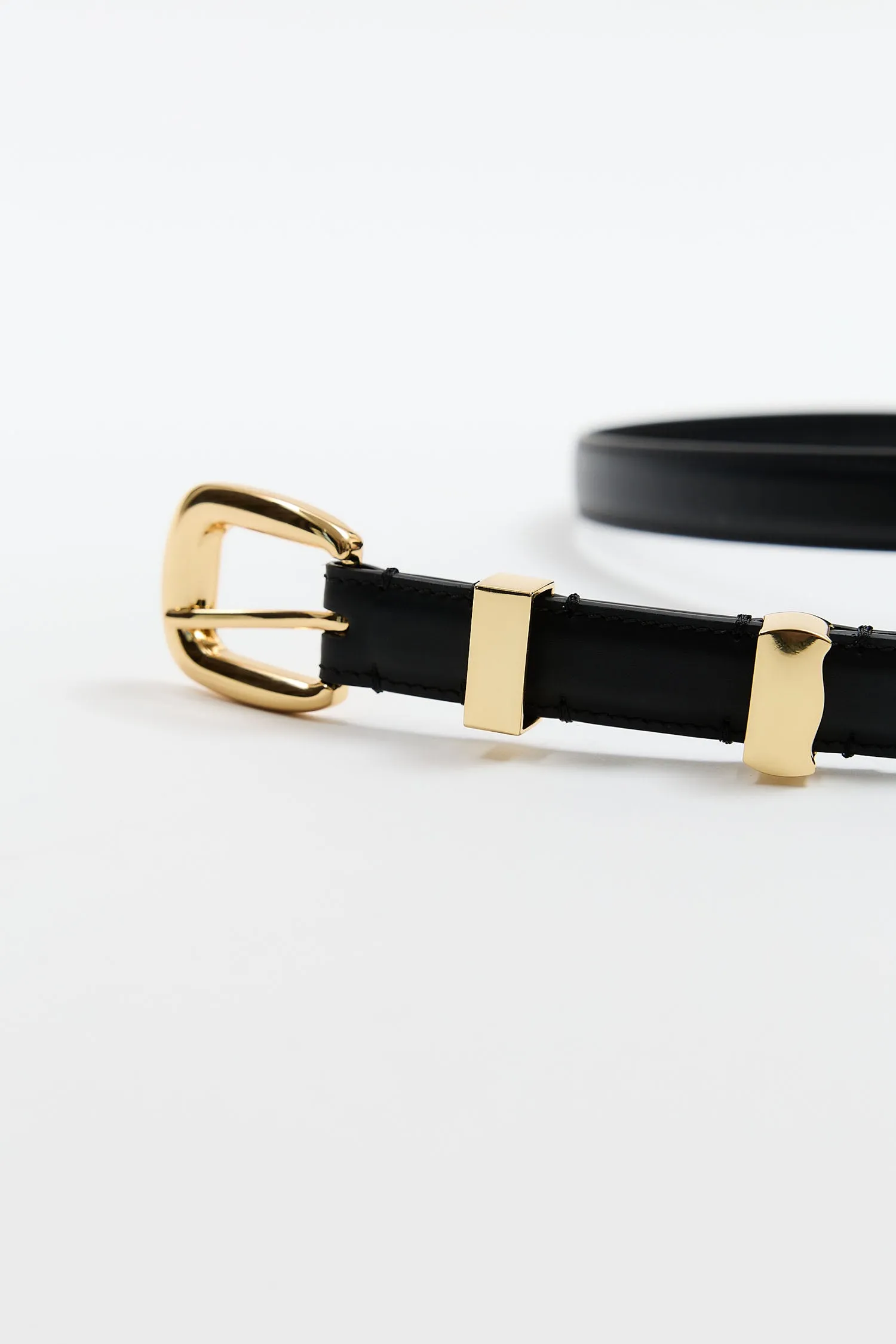 Aritzi Golden Belt sold by Lonza product image thumbnail 3
