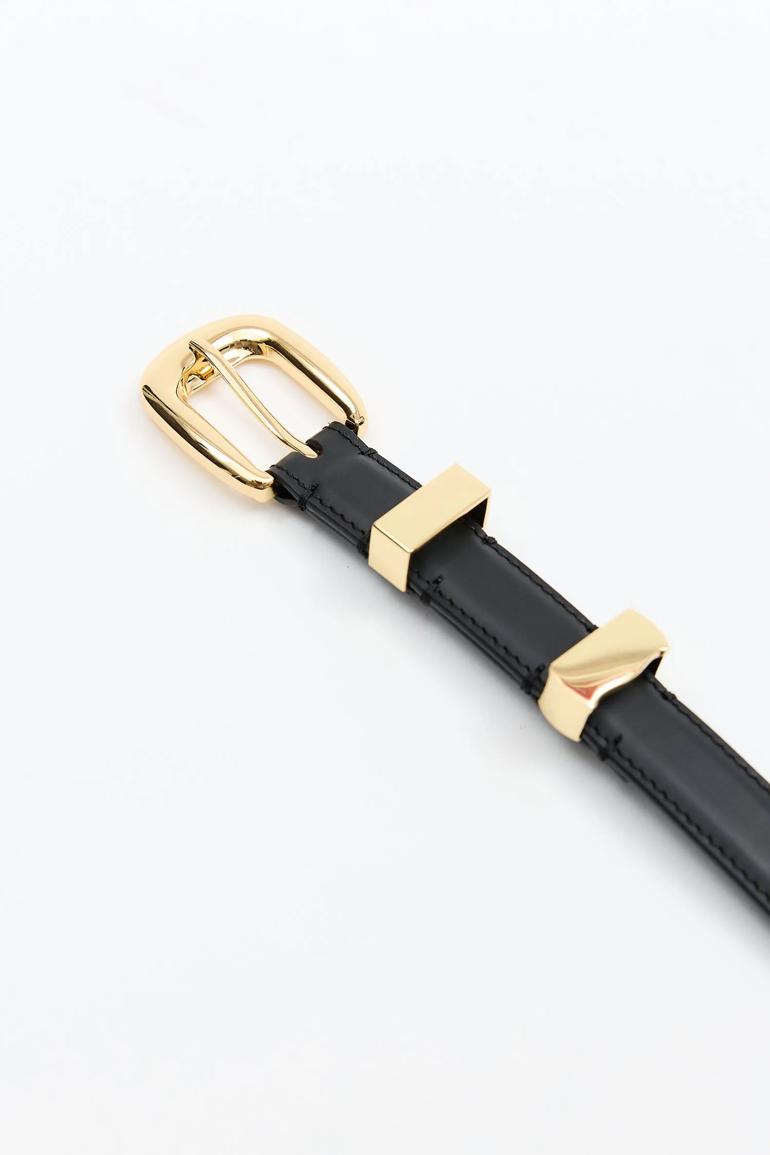 Aritzi Golden Belt sold by Lonza product image thumbnail 5