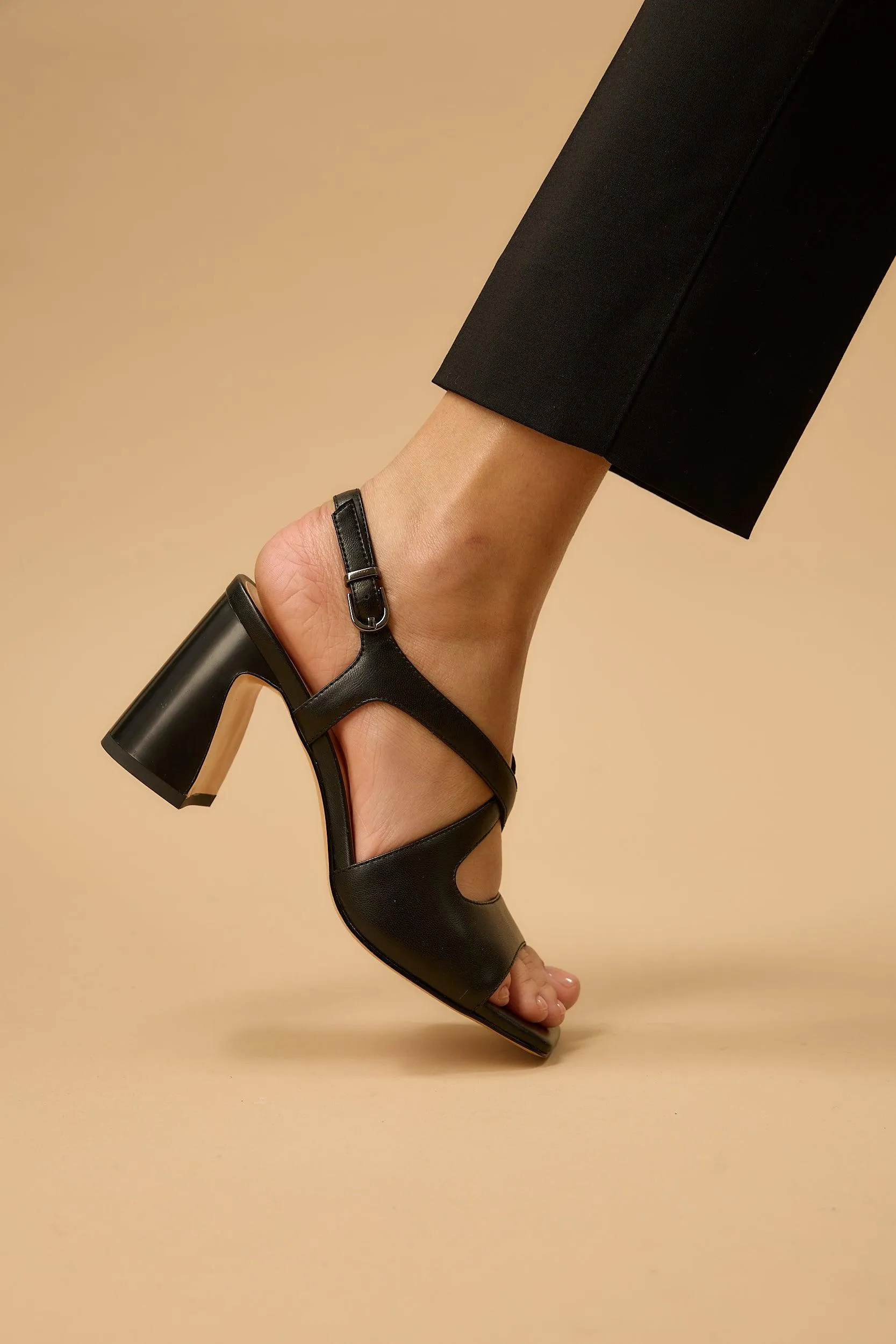 Silvia Black sold by Lonza product image thumbnail 5