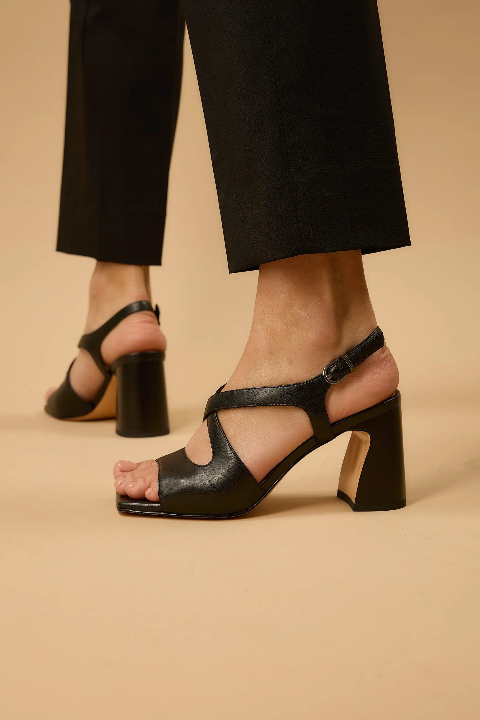 Silvia Black sold by Lonza product image thumbnail 2