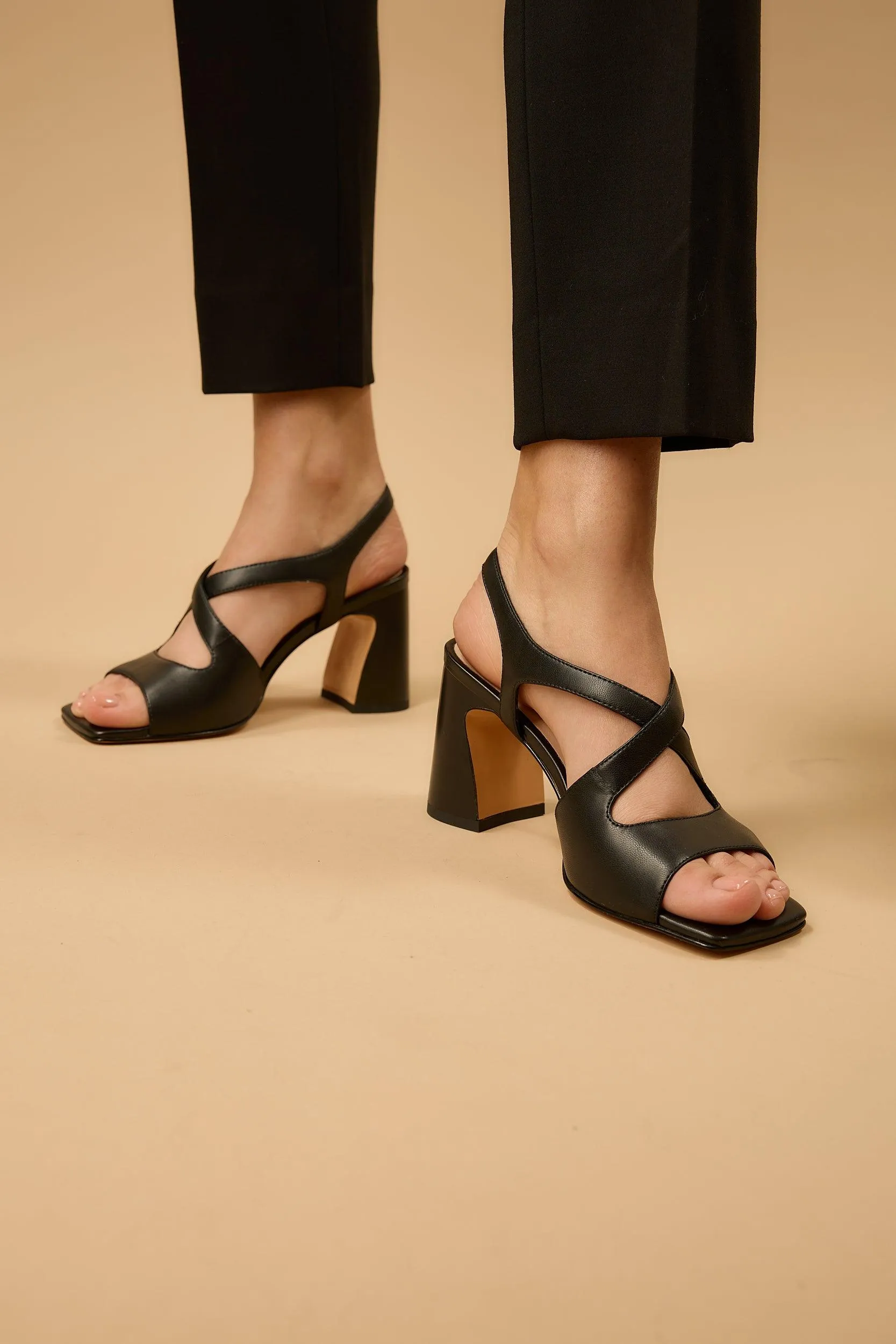 Silvia Black sold by Lonza product image thumbnail 4