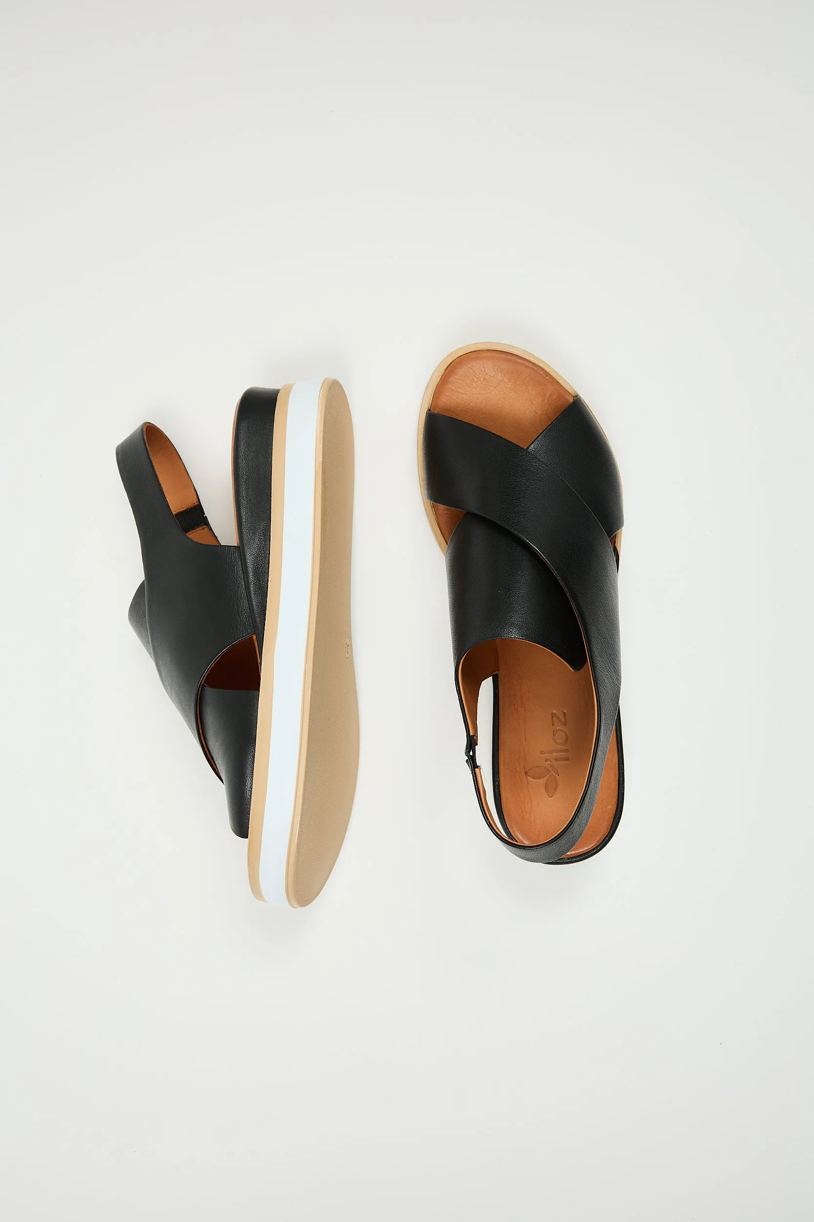 Maisie Black sold by Lonza product image thumbnail 5