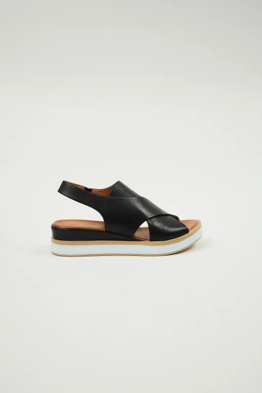 Maisie Black made by Lonza