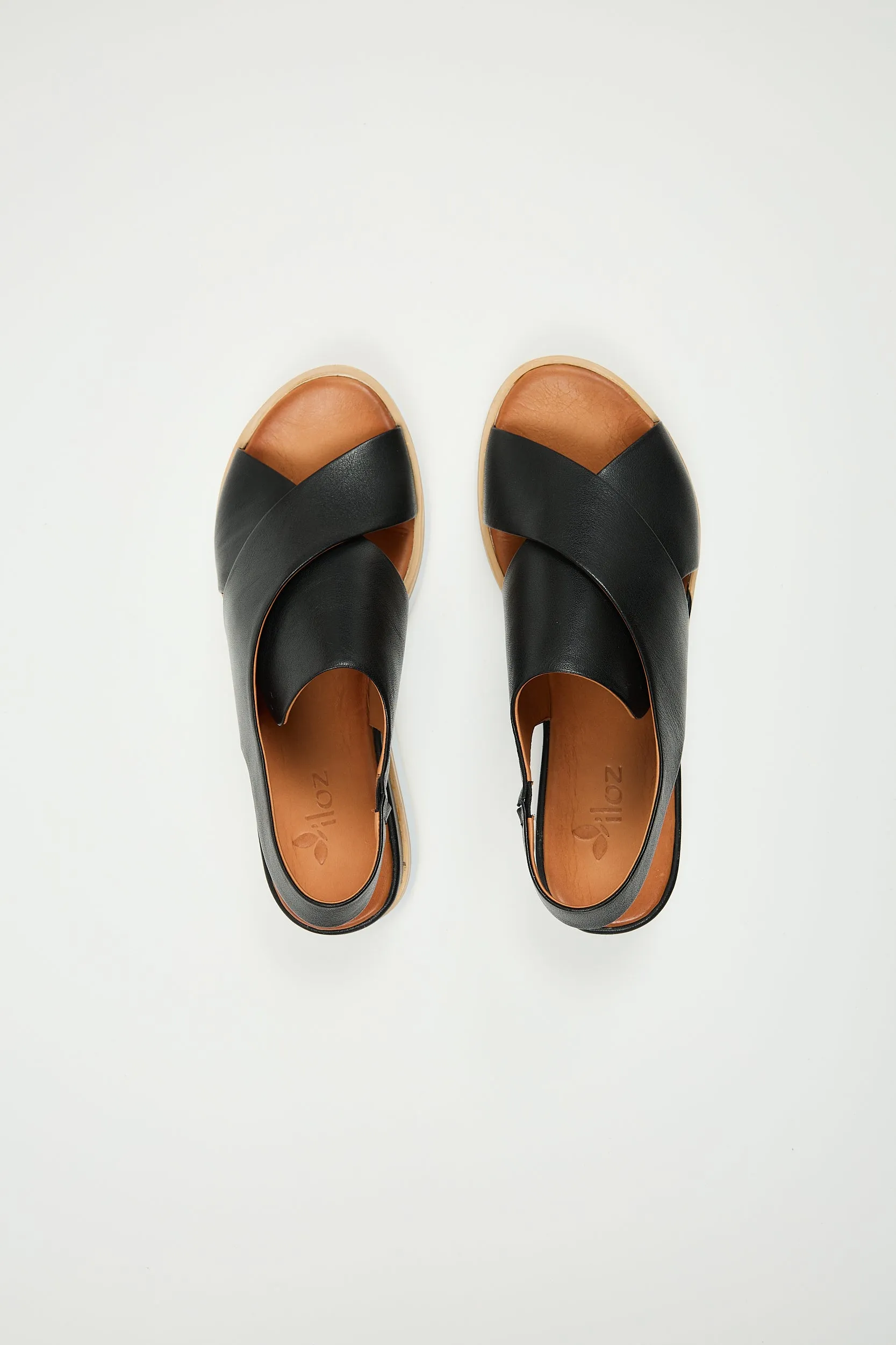 Maisie Black sold by Lonza product image thumbnail 2