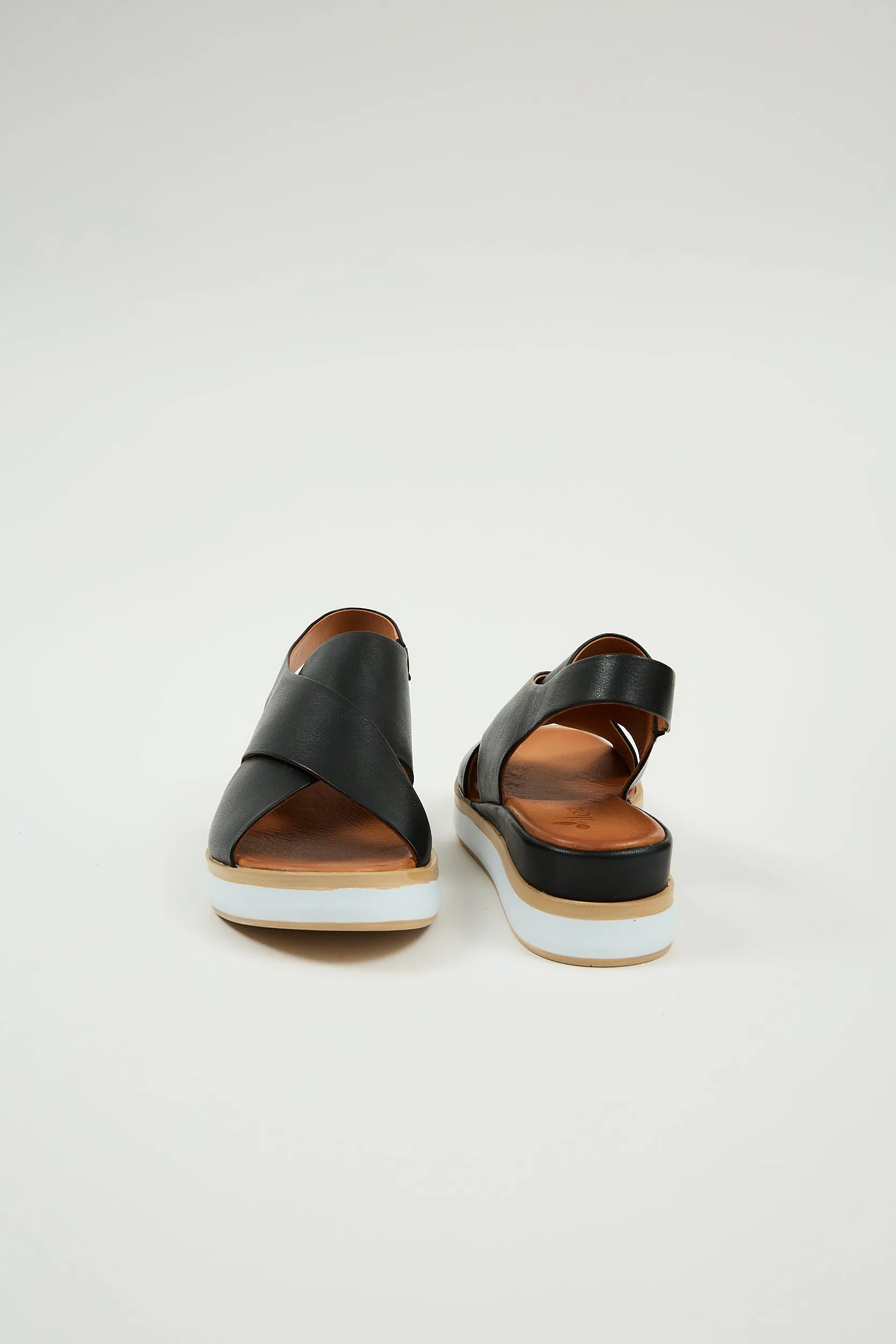 Maisie Black sold by Lonza product image thumbnail 3