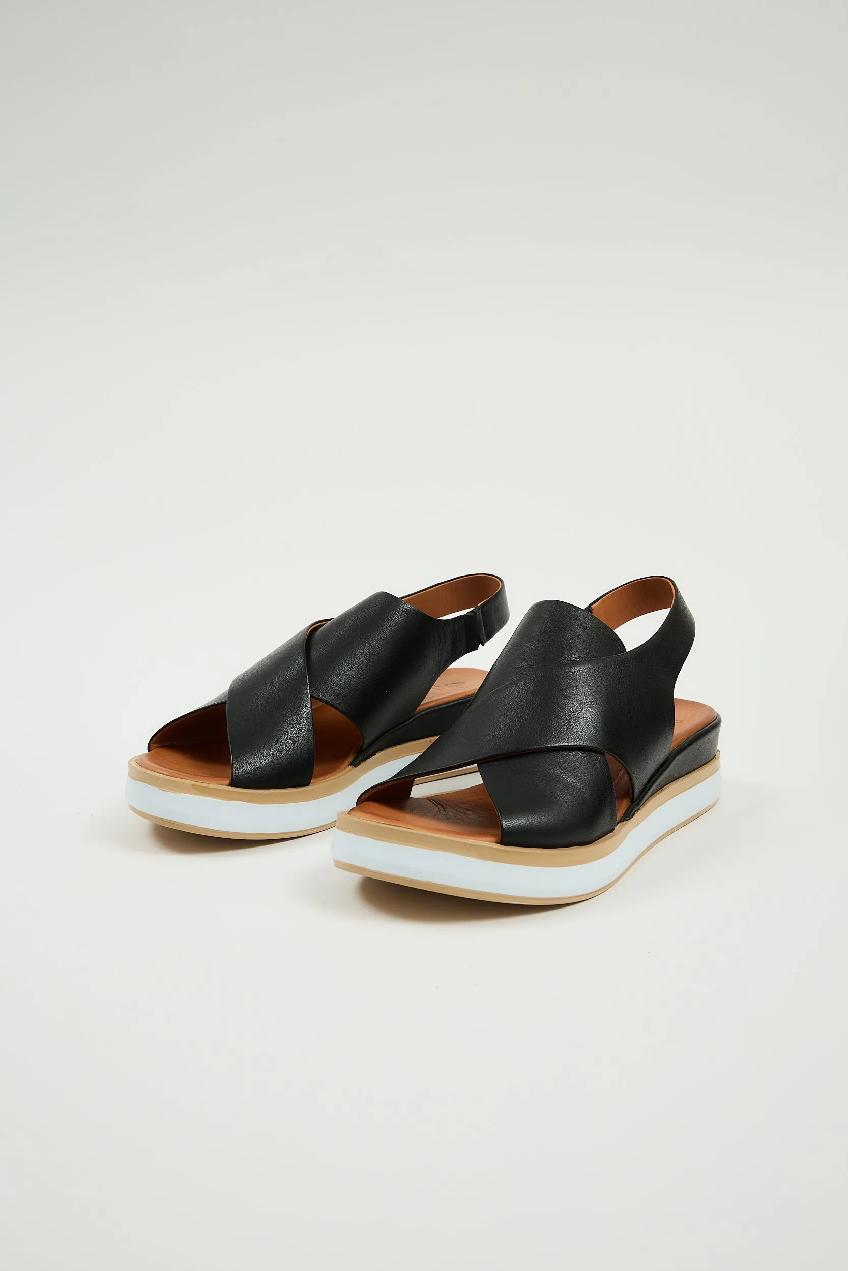 Maisie Black sold by Lonza product image thumbnail 4