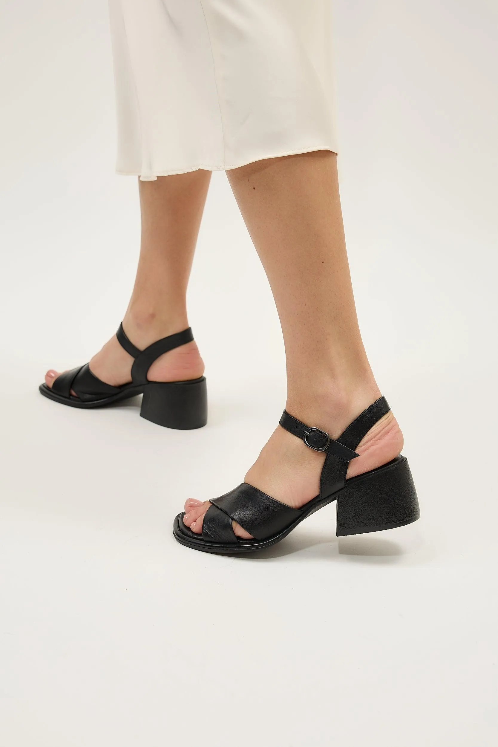 Daphne Black sold by Lonza product image thumbnail 2