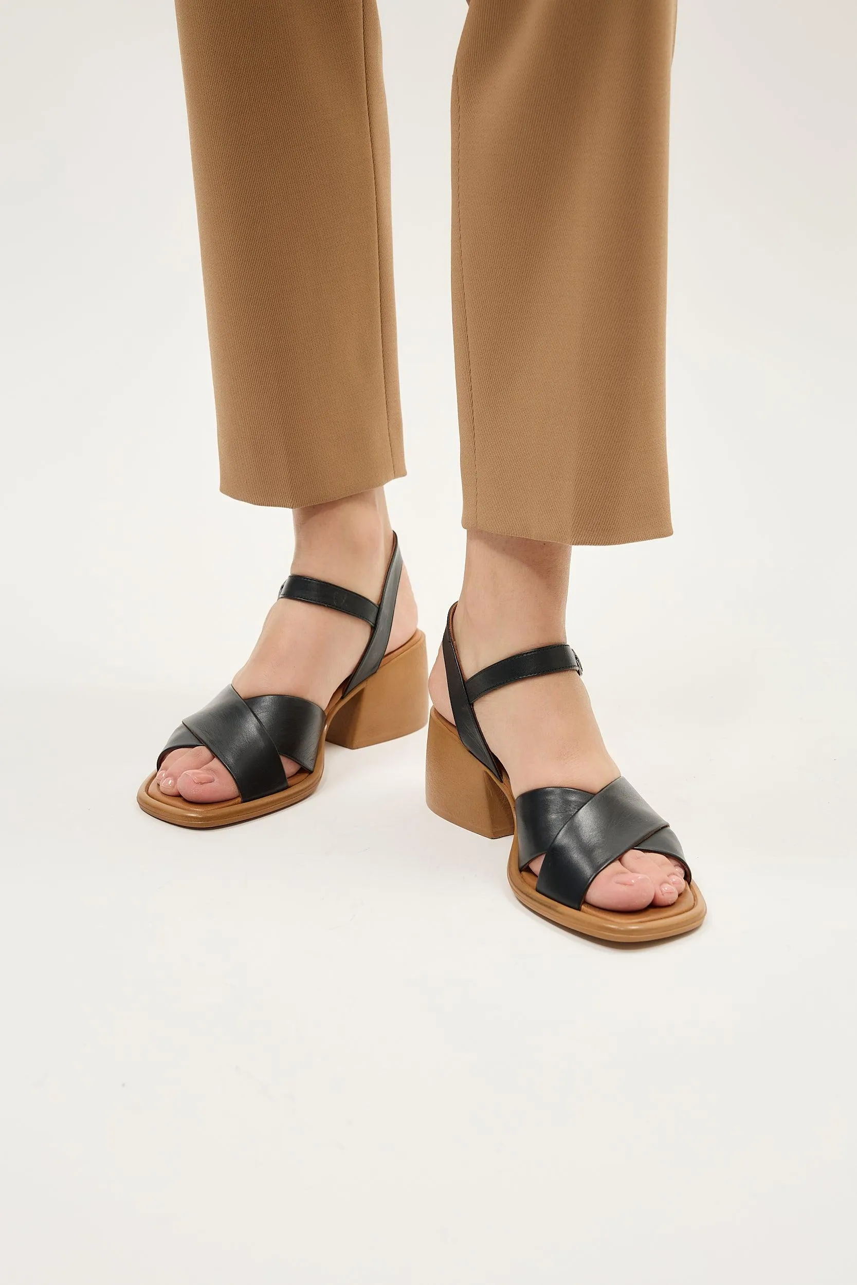 Daphne Tan sold by Lonza product image thumbnail 3