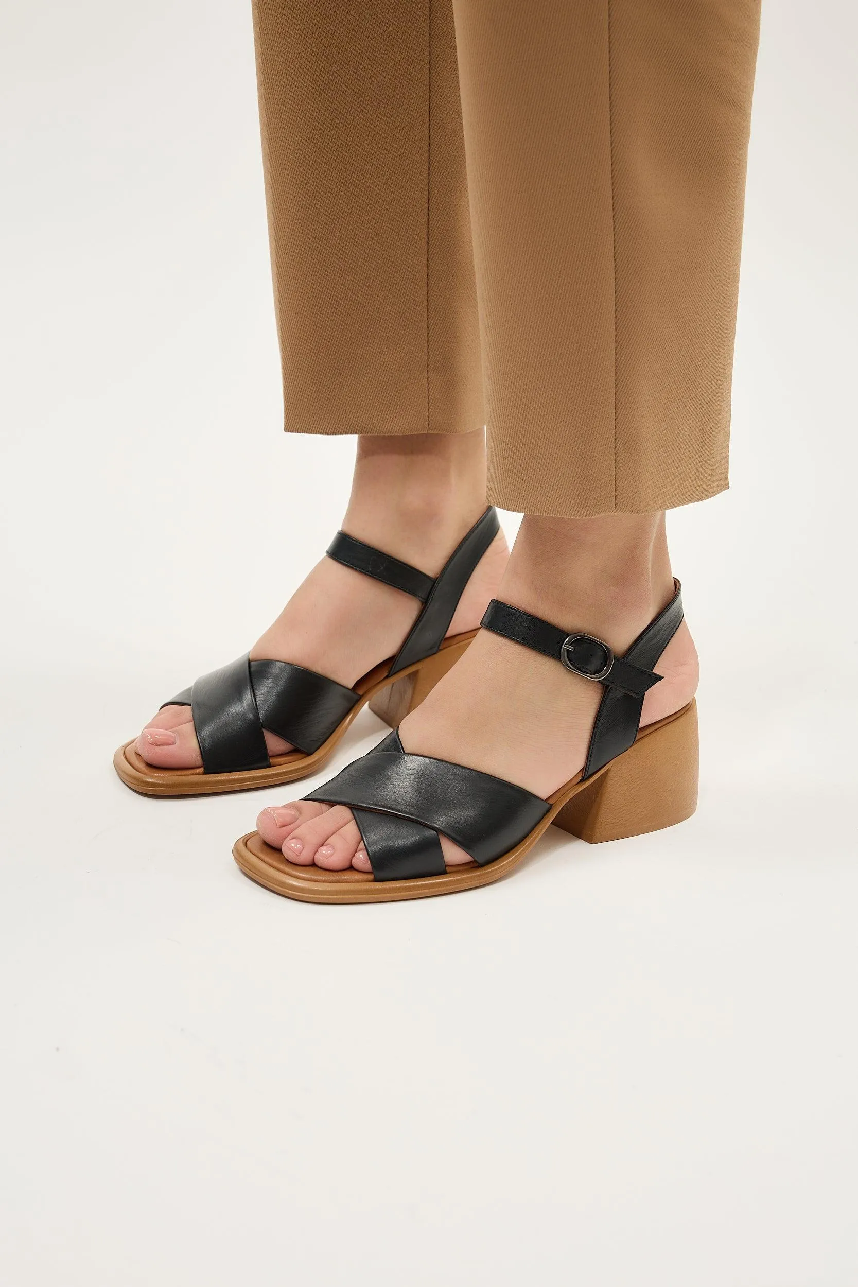 Daphne Tan sold by Lonza product image thumbnail 2