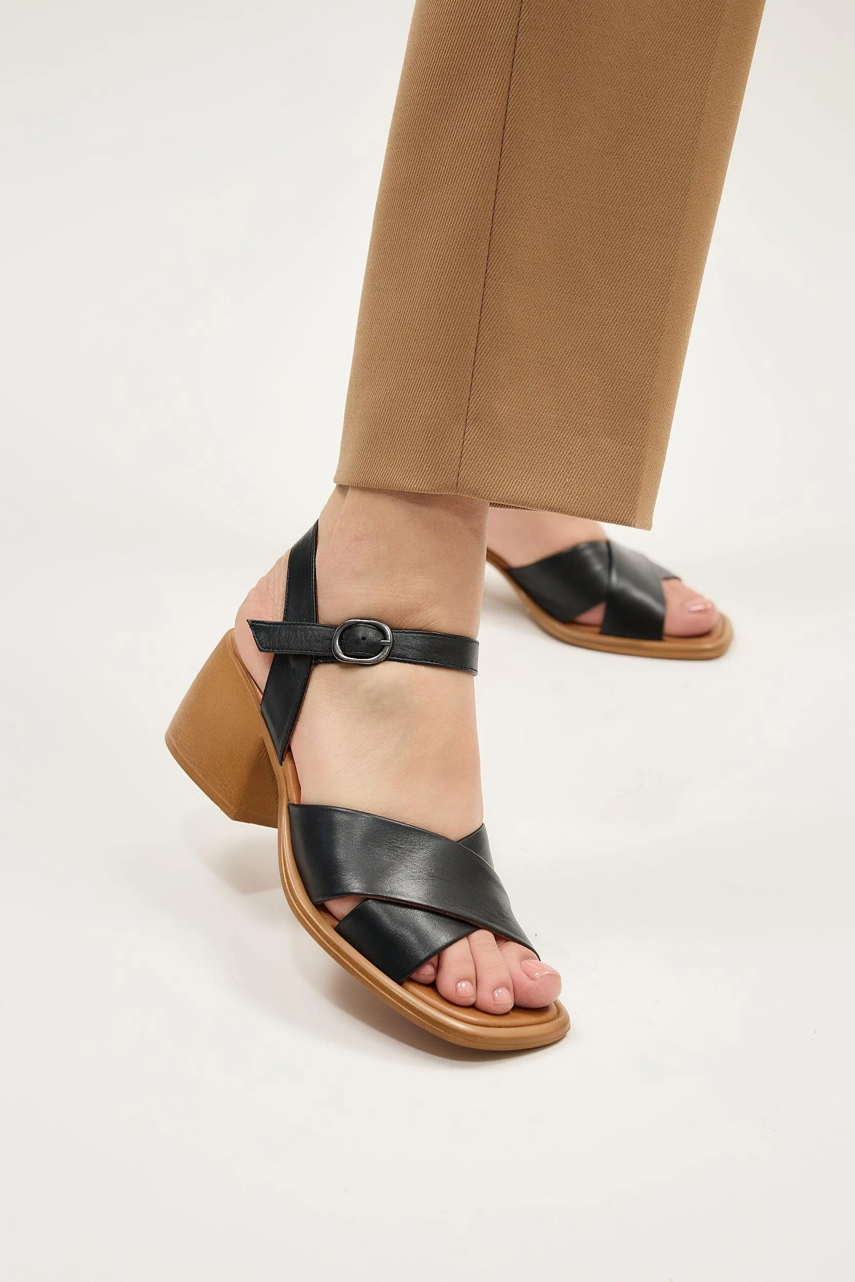 Daphne Tan sold by Lonza product image thumbnail 4