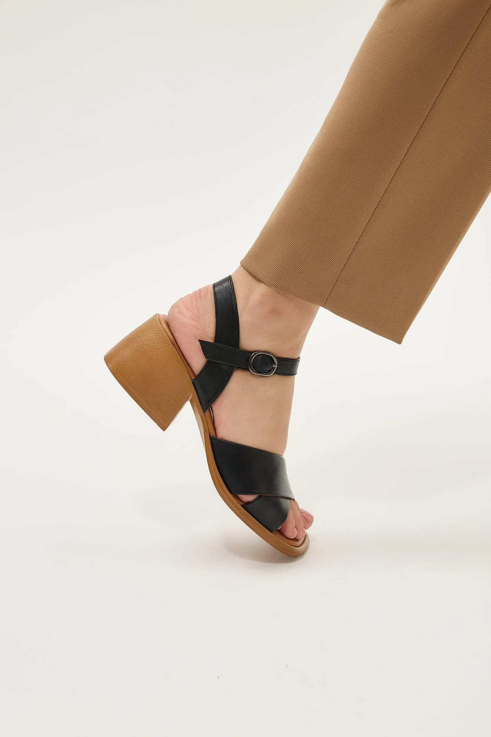 Daphne Tan sold by Lonza product image thumbnail 5