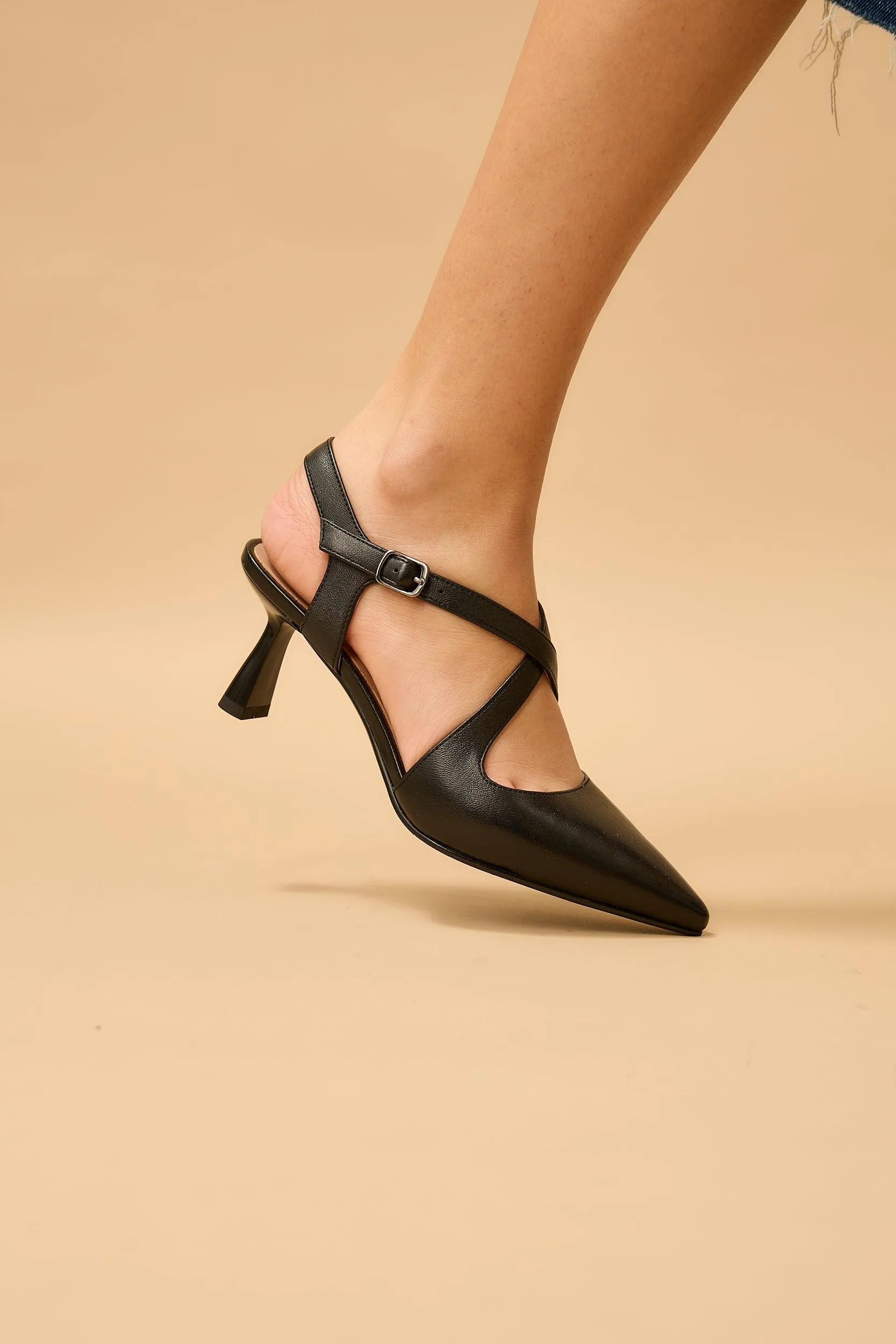 Fernanda Black sold by Lonza product image thumbnail 5