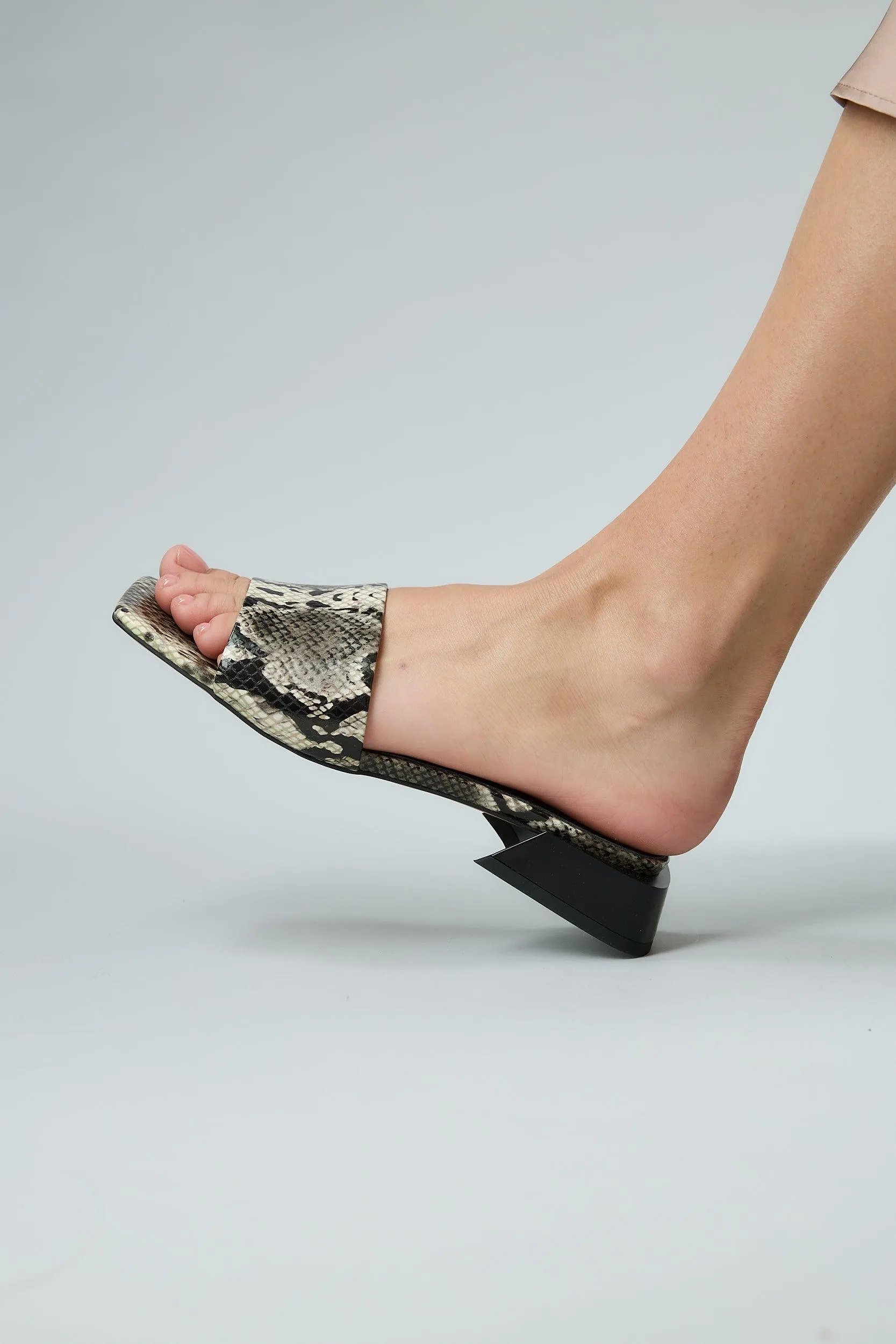 Snake Black sold by Lonza product image thumbnail 3