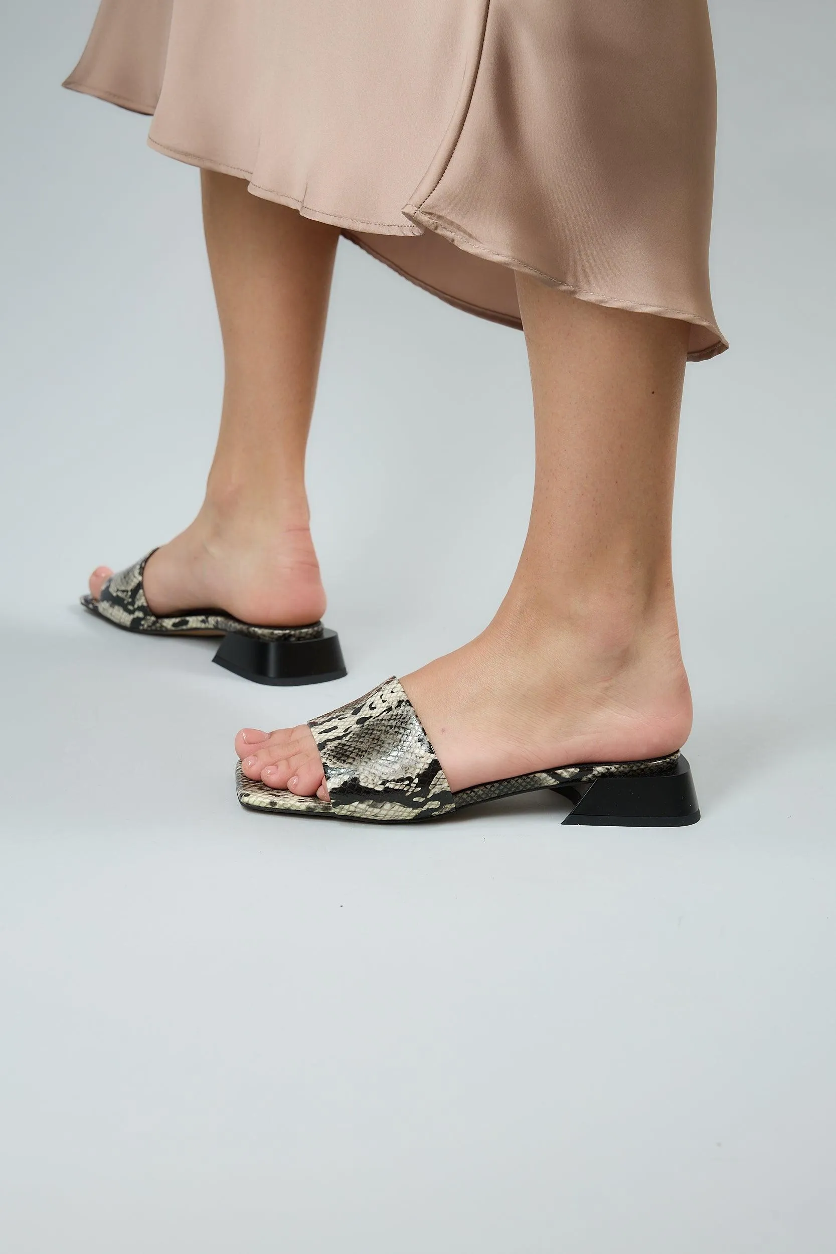 Snake Black sold by Lonza product image thumbnail 4