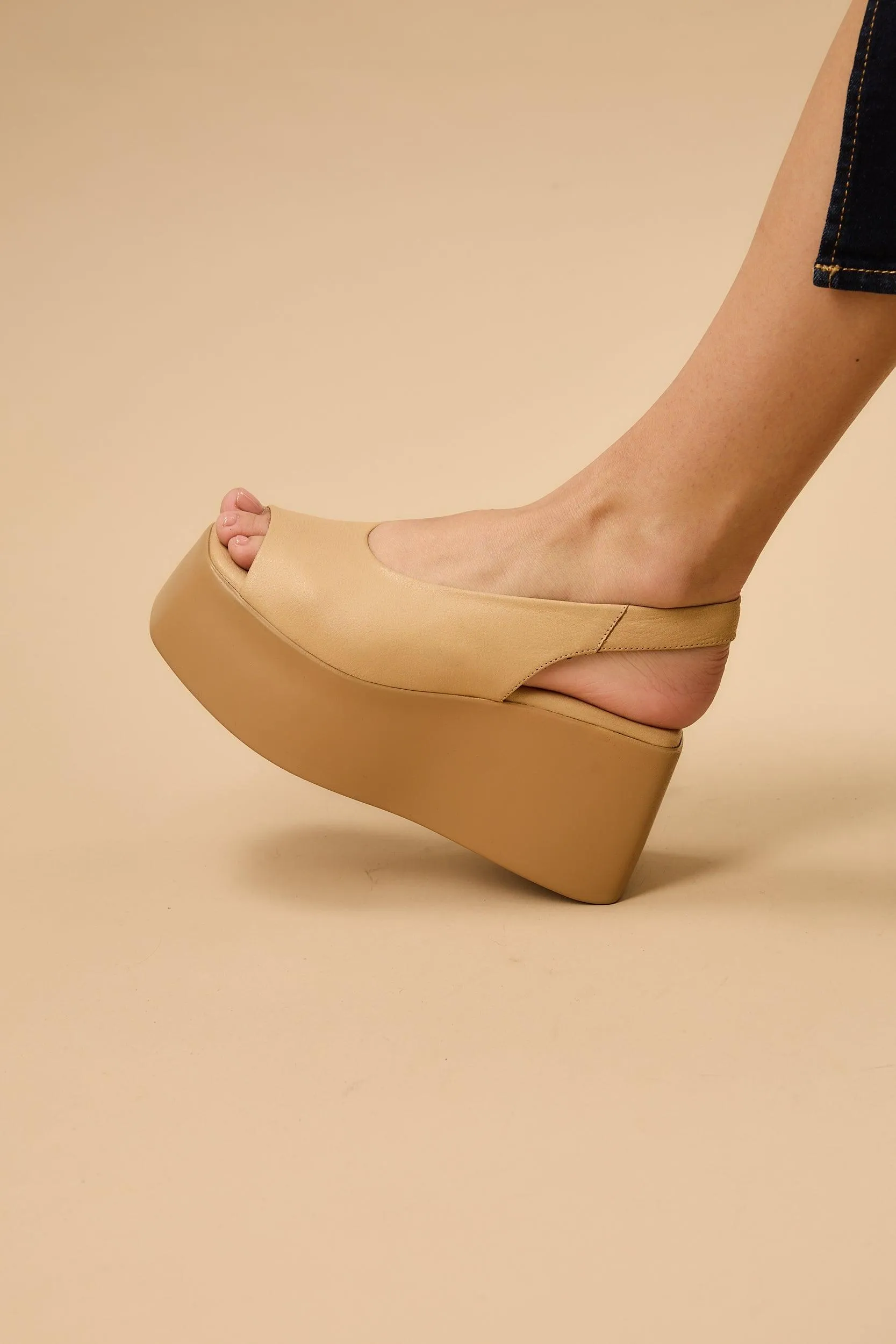 Ariadne Tan sold by Lonza product image thumbnail 5