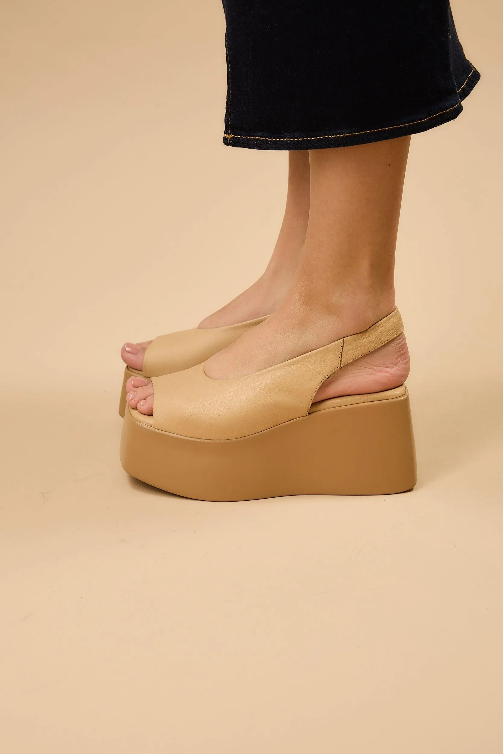 Ariadne Tan sold by Lonza product image thumbnail 4