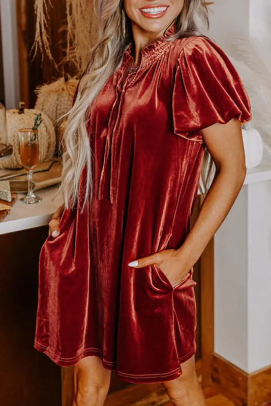 Cinnamon Velvet Smocked Neckline Puff Sleeve Shift Mini Dress sold by Beagle Boutique