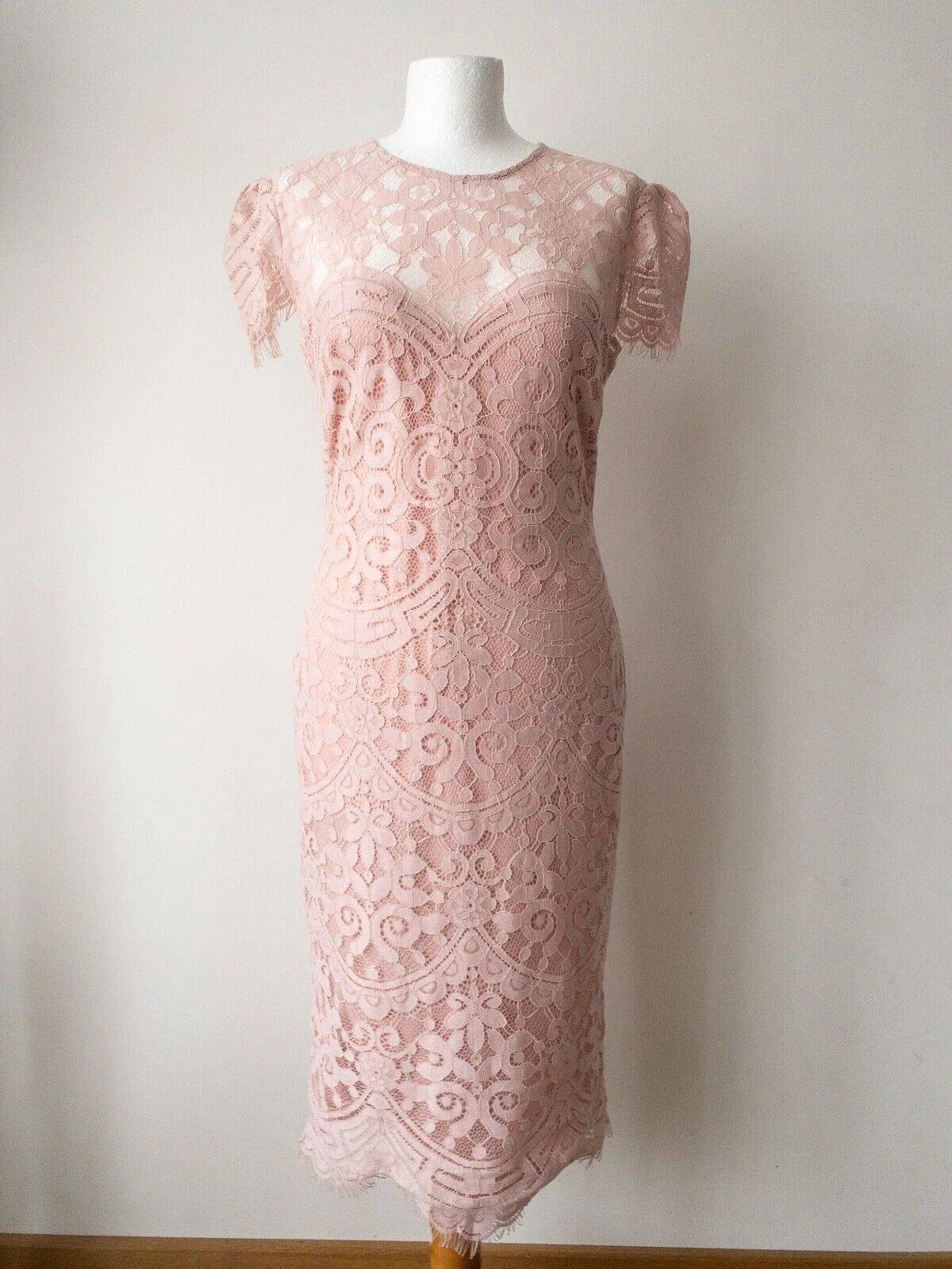 Goddiva London Cap Sleeve Lace Dress Available in Duck Egg Green or Blush Pink sold by Beagle Boutique product image thumbnail 2