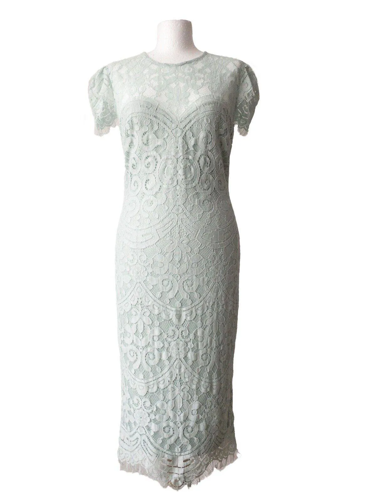 Goddiva London Cap Sleeve Lace Dress Available in Duck Egg Green or Blush Pink sold by Beagle Boutique product image thumbnail 4