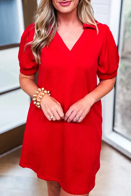 Fiery Red V Neck Puff Sleeve Textured Mini Dress sold by Beagle Boutique