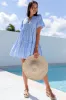 Sky Blue Gingham Short Sleeve Button Tie Split Neck Loose Mini Dress sold by Beagle Boutique