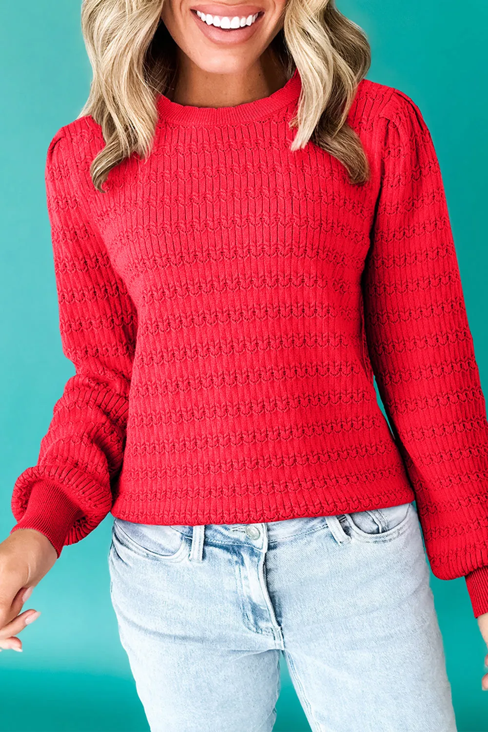 Pattern Knit Ribbed Cuffs Sweater sold by Beagle Boutique
