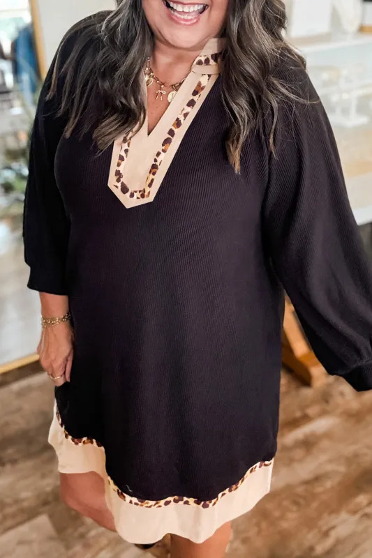 Black Contrast Leopard Trim Plus Size Ribbed Dress sold by Beagle Boutique