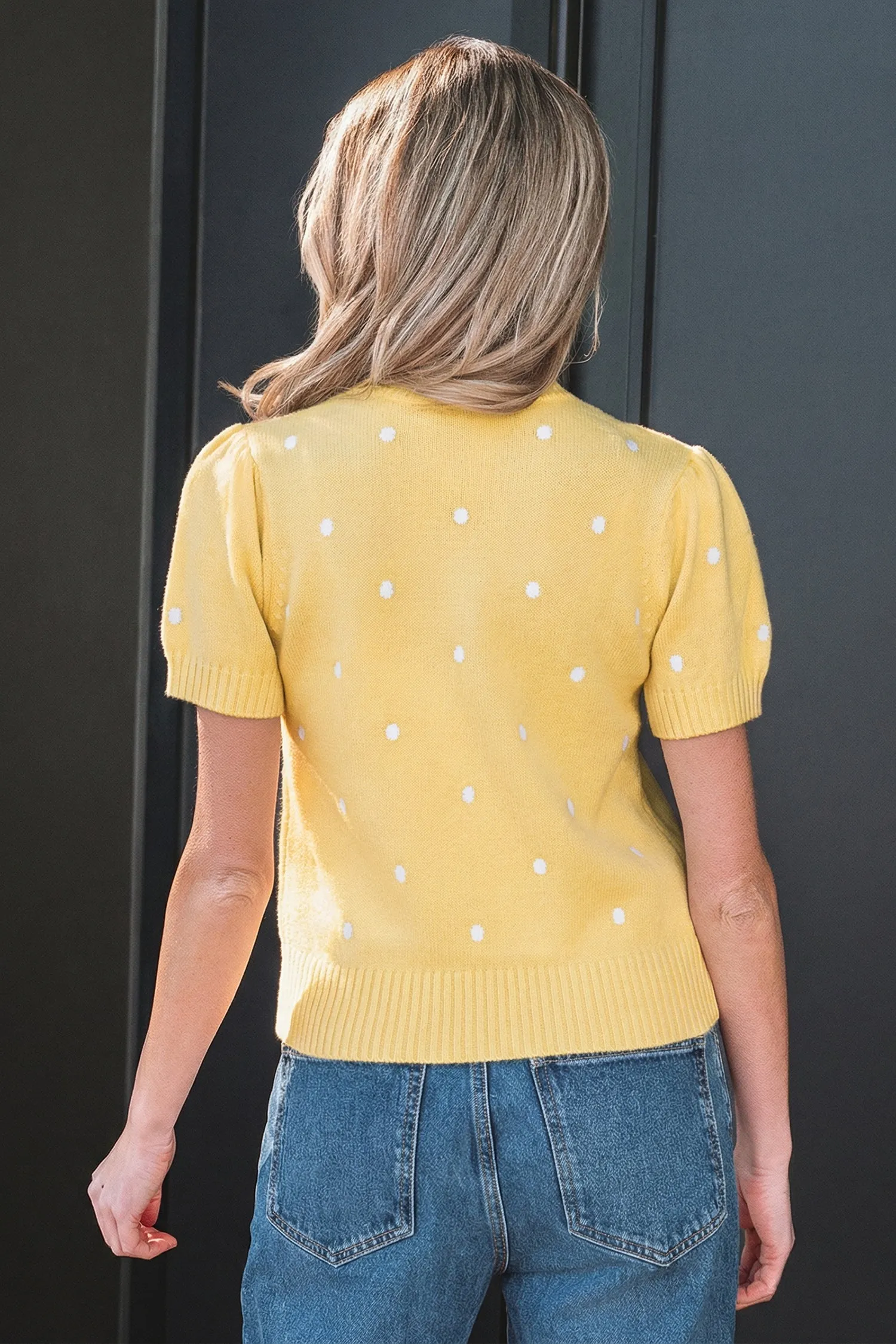 Elegant Polka Dot Bubble Short Sleeve Sweater sold by Beagle Boutique product image thumbnail 2
