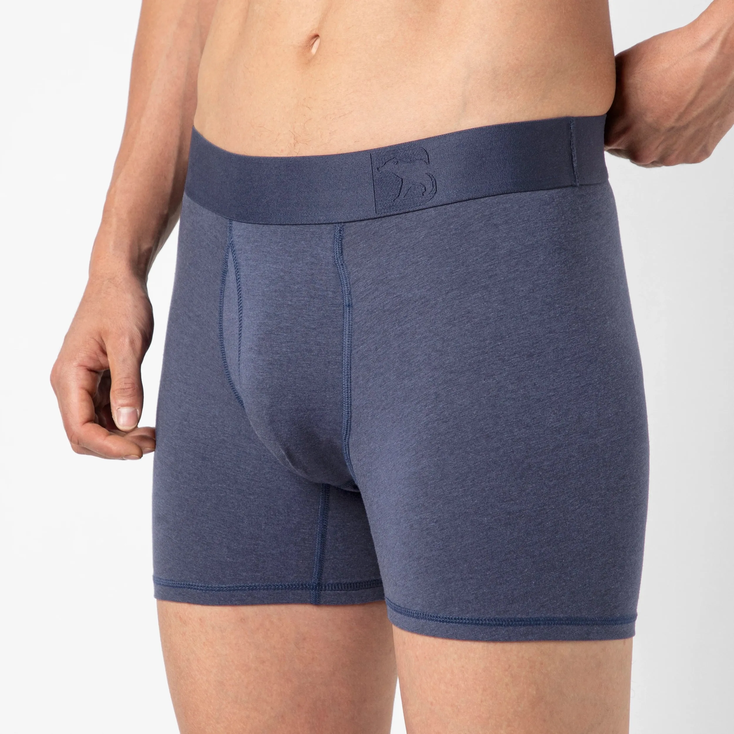 Bamboo Boxer Brief sold by Bearbottom Clothing product image thumbnail 5