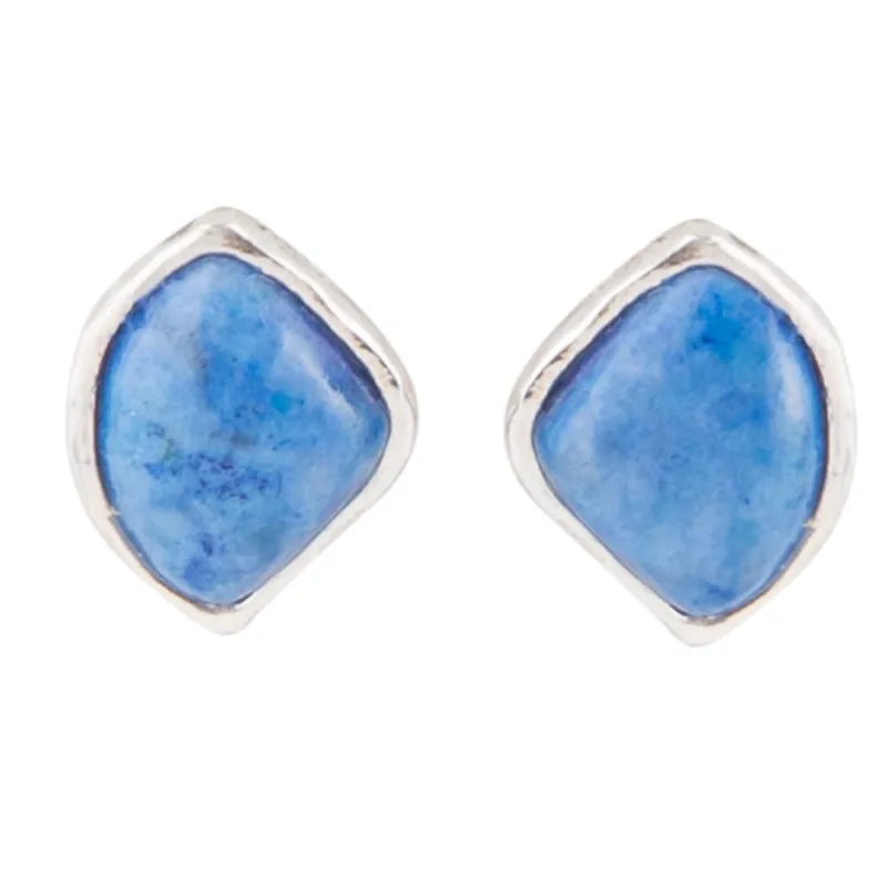 Abstract Blue Lapis and Sterling Silver Post Earrings sold by Barse