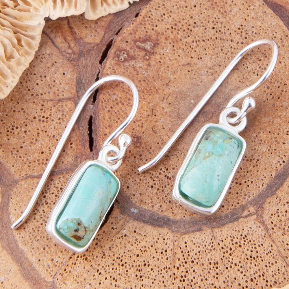 Small Blue Turquoise and Sterling Silver Drop Earrings sold by Barse product image thumbnail 2