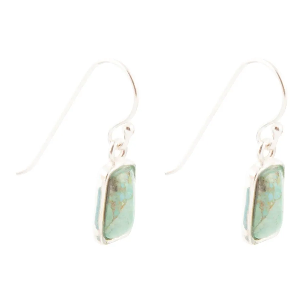 Small Blue Turquoise and Sterling Silver Drop Earrings sold by Barse product image thumbnail 3