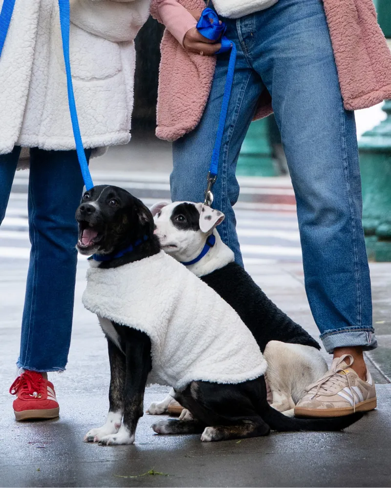 Beth's Furry Friends Sherpa Pet Jacket - Ivory sold by Jill Martin product image thumbnail 4