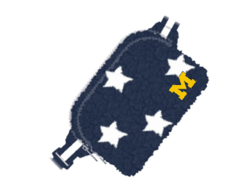 University of Michigan Regulation Size Fanny Pack made by Jill Martin