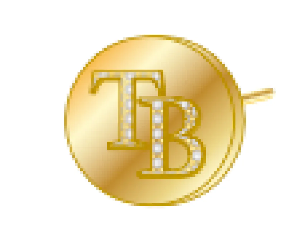 Tampa Bay Rays Bedazzled Logo Circle Stud Earrings made by Jill Martin