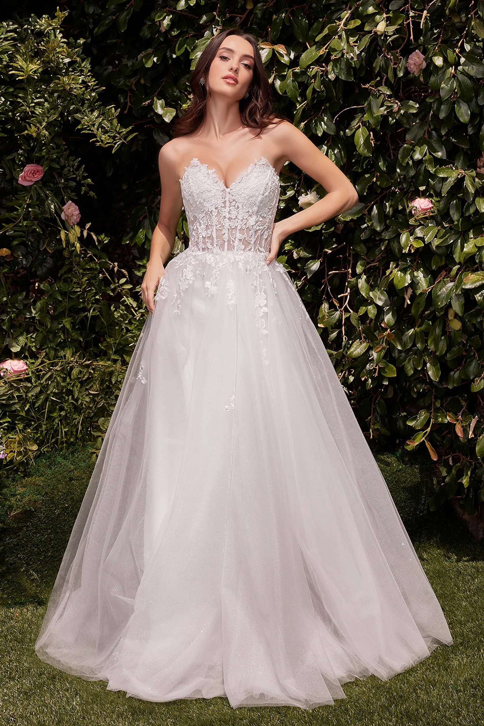 CINDERELLA DIVINE C148W Strapless A-Line Lace & Tulle Wedding Dress sold by The Gown Galleria product image thumbnail 3