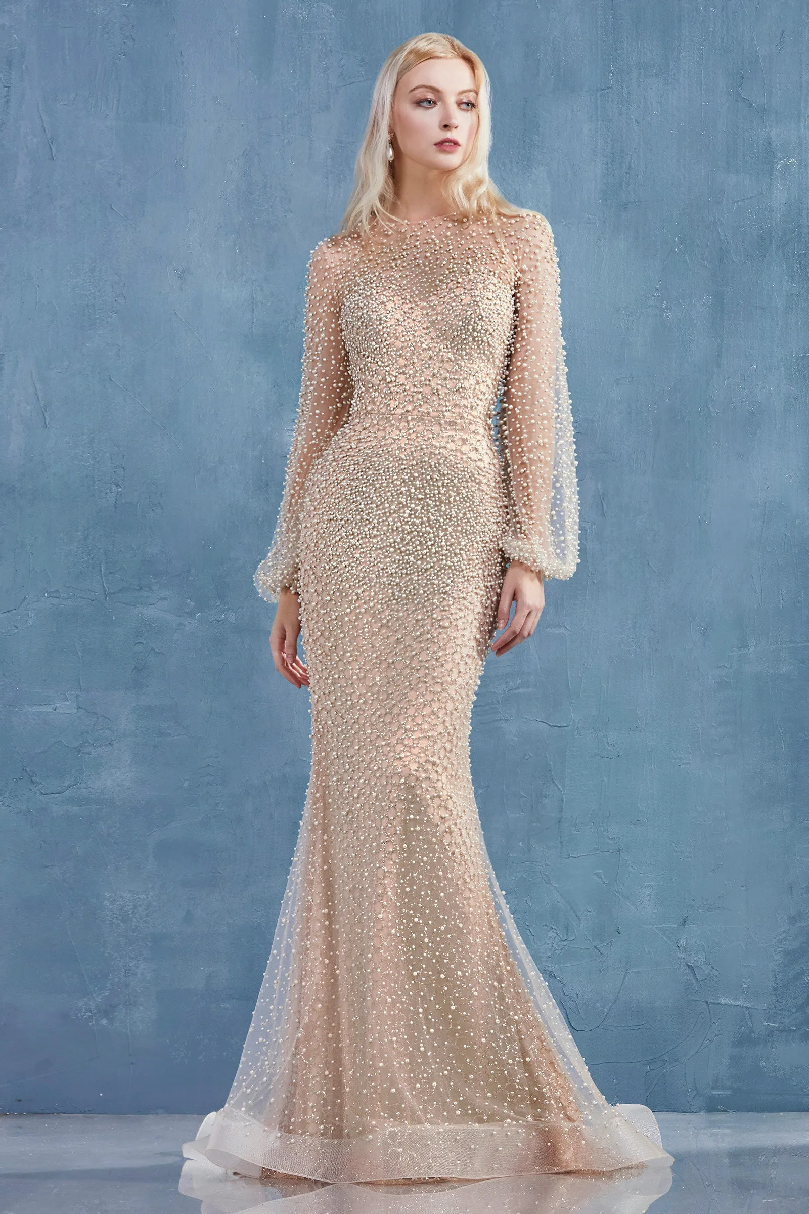 ANDREA & LEO A0997 Pearl Beaded Long Sleeve Trumpet Dress sold by The Gown Galleria product image thumbnail 5